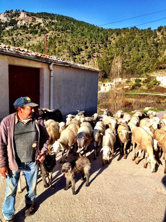 Casas Rurales Vegasierra Bogarra Buitenkant foto